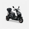 IVA T3 2.0 Zwart - GoVida - driewielers